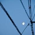 月と電線