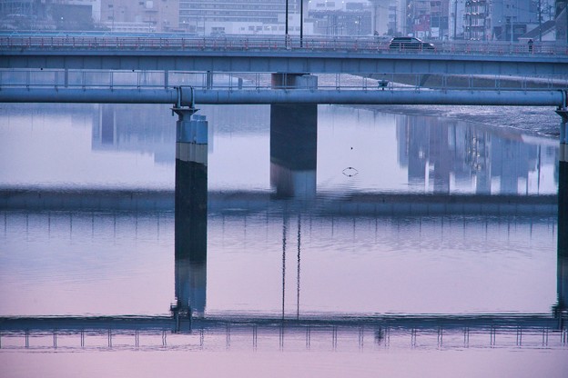 写真: 橋のある風景