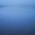 写真: 霧の池