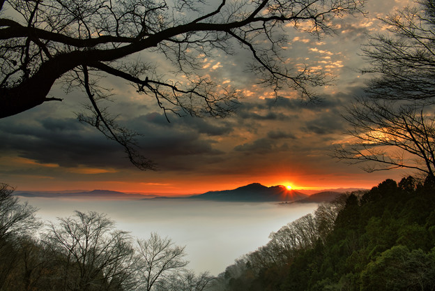 写真: 鎌倉山の夜明け