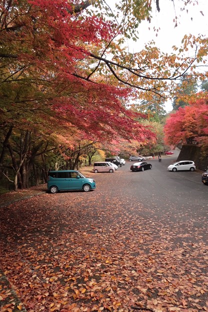 写真: 高住神社駐車場の紅葉2
