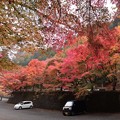 写真: 高住神社駐車場の紅葉3