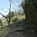 写真: 基山(きざん)へオキナグサを見に　1