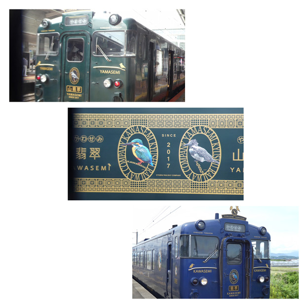 ヤマセミカワセミ　列車