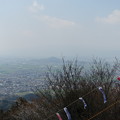 Photos: 大平山315mからの眺め