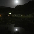 夜の天満宮菖蒲池