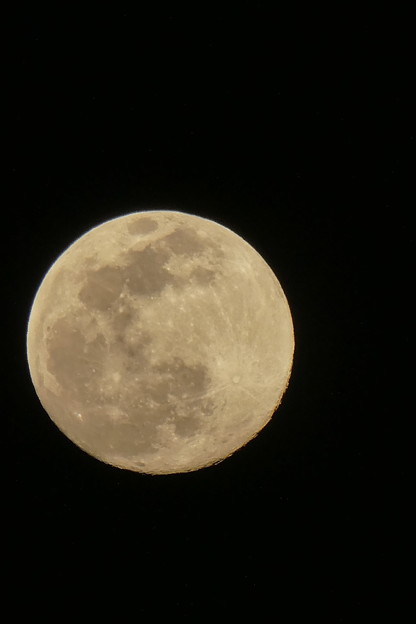 月齢13.8(満月の前日)の月