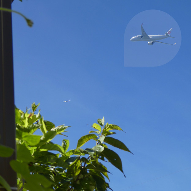 庭から見える飛行機