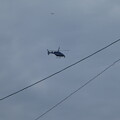 写真: ヘリコプター と航空機