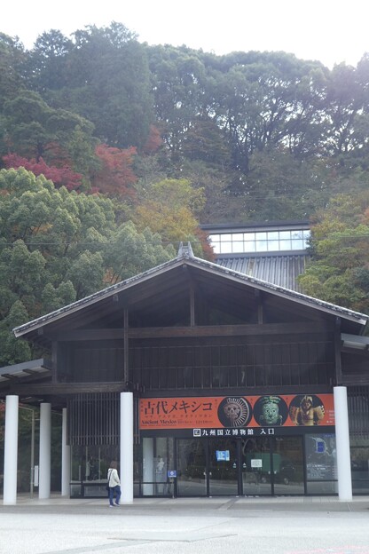 写真: 九州国立博物館入り口