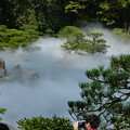 日本庭園に雲海？