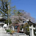 写真: 納祖神社