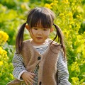 写真: 菜の花畑のゆずちゃん (4)