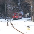 写真: カープ列車 (15)