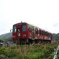 写真: カープラッピング列車 (17)