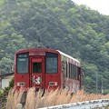 写真: カープラッピング列車 (18)