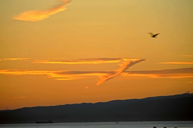 写真: 07　雲鳥とすれ違い鳥