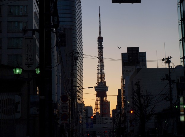 東京タワー1