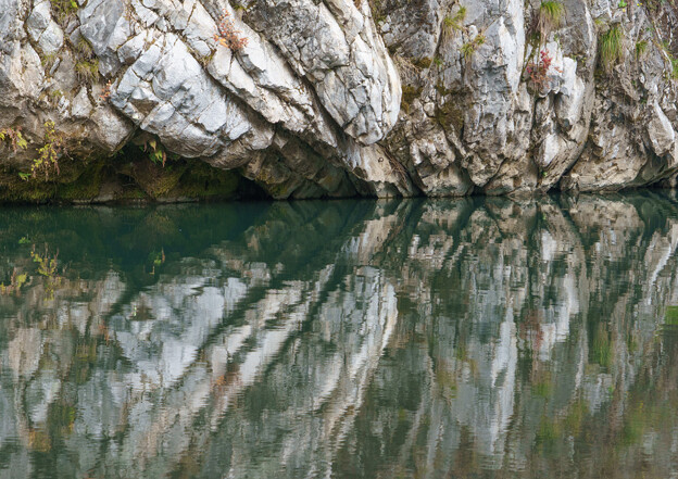 石灰岩の岸壁