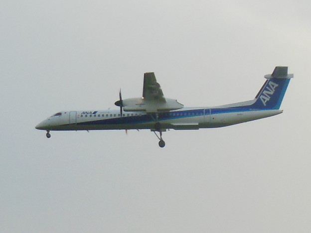 ANA  DHC8-Q400　福岡空港ランディング  2