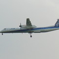 写真: ANA  DHC8-Q400　福岡空港ランディング  2
