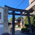 写真: 白山神社・・東京十社めぐり
