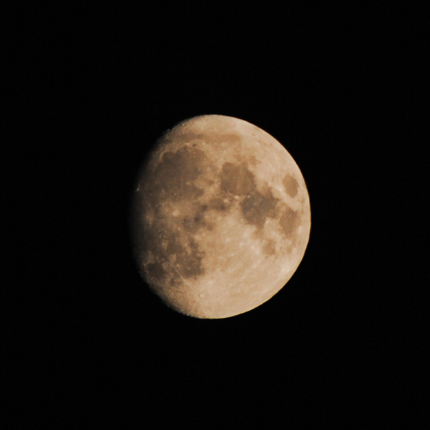 Photos: 月の写真撮った