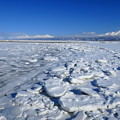 写真: 港に寄せる流氷