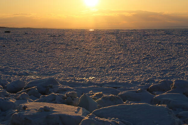 写真: 20240324夕日の流氷原