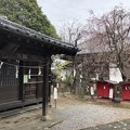 Photos: 3月_稲荷神社 3