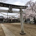 Photos: 3月_住吉神社 1