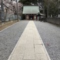 写真: 3月_諏訪神社 2