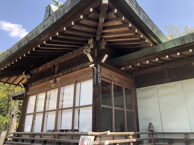 写真: 4月_鷺宮八幡神社 3