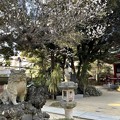 3月_諏訪神社 3