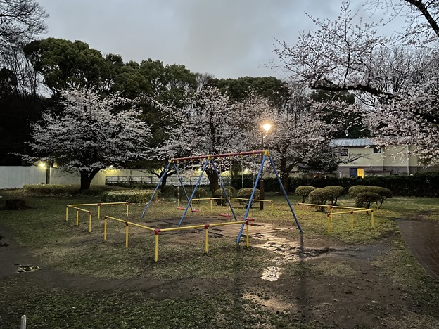3月_和田堀公園 3