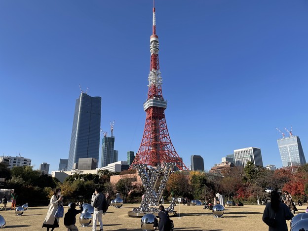 写真: 12月_東京タワー 6