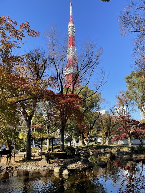 写真: 12月_東京タワー 9