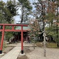 Photos: 3月_武蔵一宮氷川神社 8