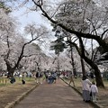 Photos: 3月_大宮公園 3
