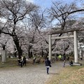 Photos: 3月_大宮公園 5