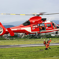 名古屋市消防航空隊 エアバスヘリコプターズ AS365N3 Dauphin2 JA08AR ひでよし IMG_6881-2
