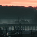 写真: 霧の朝