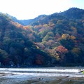 Photos: 嵐山いろづき