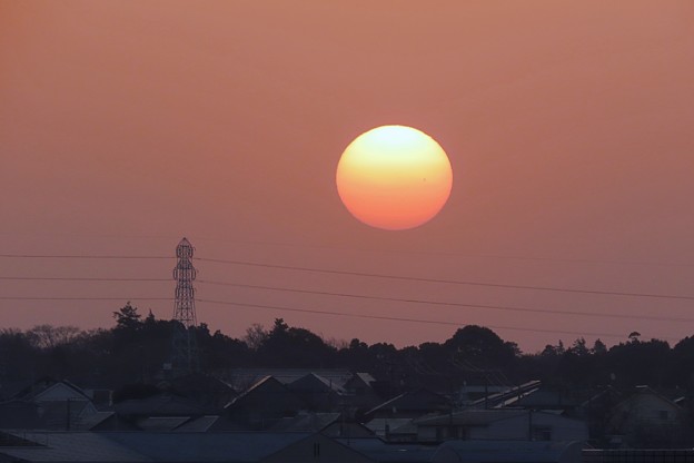 Photos: 日の丸太陽
