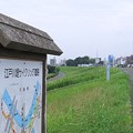 写真: 水元〜江戸川堤へ