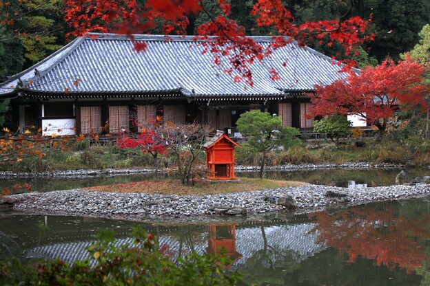 写真: 浄瑠璃寺