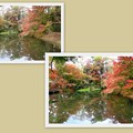 写真: 植物園の紅葉