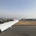 写真: 日本の翼　9℃