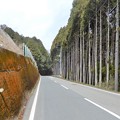 写真: R477・常照皇寺への道 (1)