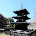 写真: 興福寺・三重塔